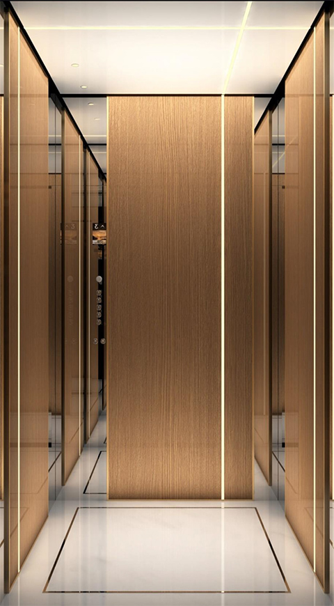 Z-V011