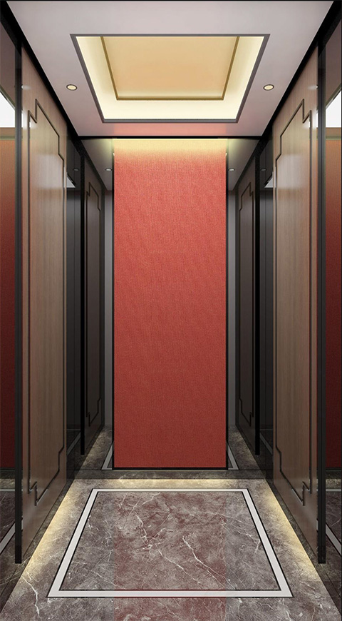 Z-V009